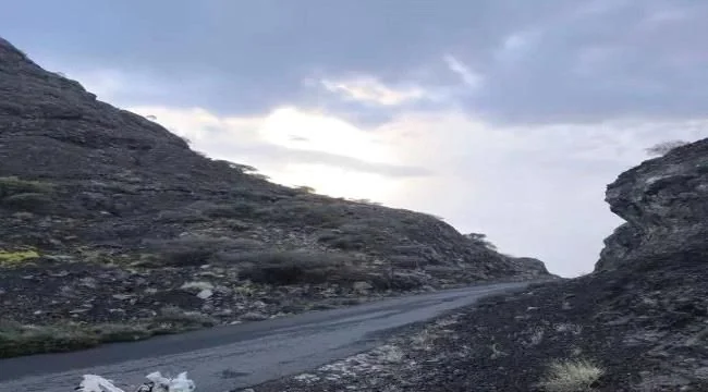 القوات الجنوبية تحكم سيطرتها الكاملة على جبل المنصورة في جبهة الصبيحة