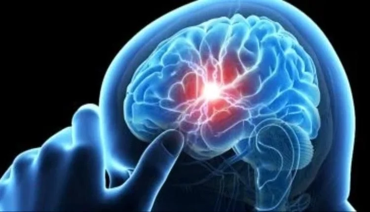 الزهايمر: رحلة معقدة داخل الدماغ تكشف أسباب المرض الخفية