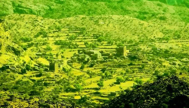 مأساة إنسانية في الضالع.. مصرع نجل شهيد يبلغ 12 عاماً إثر سقوطه من جبل بالأزارق أثناء رعيه الأغنام
