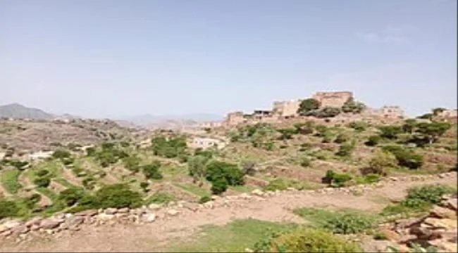 فاجعة في الضالع.. وفاة فتاة إثر سقوطها في بئر مياه بمديرية جحاف أثناء محاولتها جلب الشرب