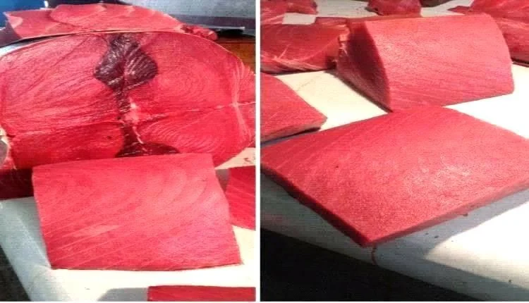 أسعار الأسماك في عدن تسجل أرقاماً فلكية وتفاقم معاناة السكان